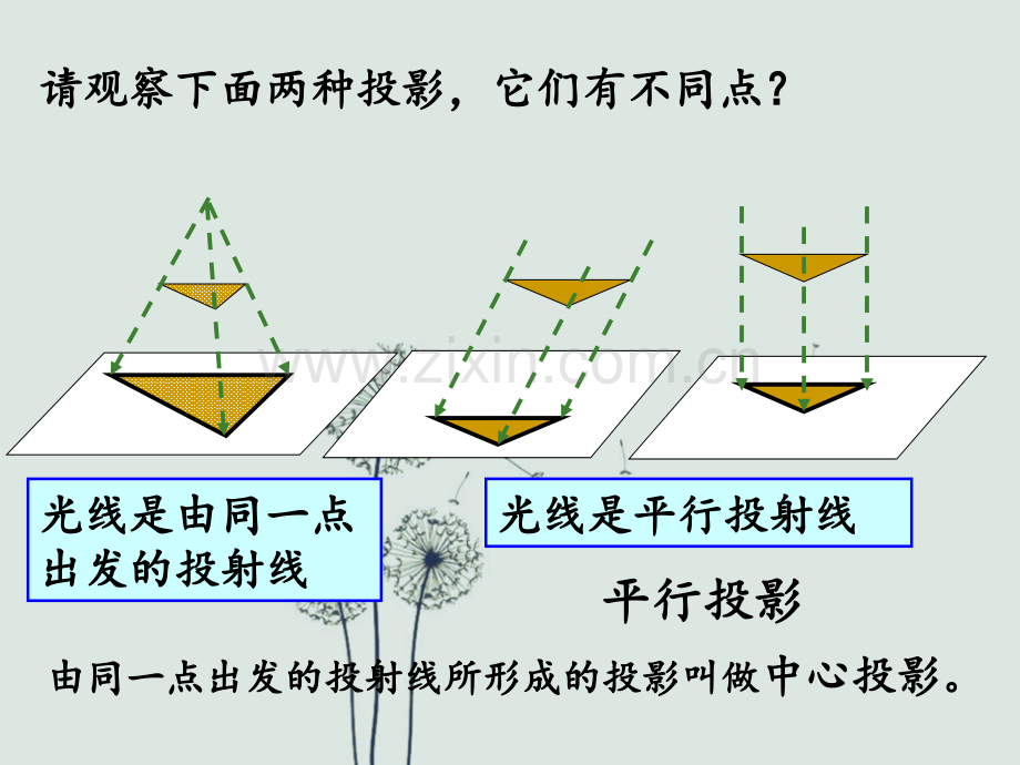 新浙教版3.1投影.ppt_第2页