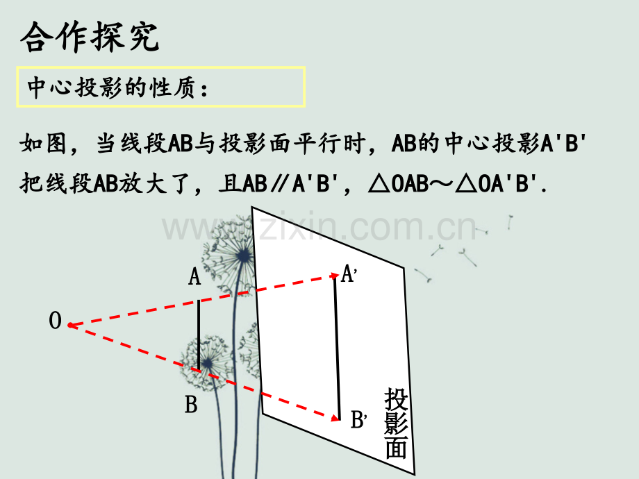 新浙教版3.1投影.ppt_第3页