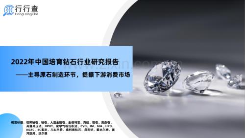 2022年中国培育钻石行业研究报告.pdf