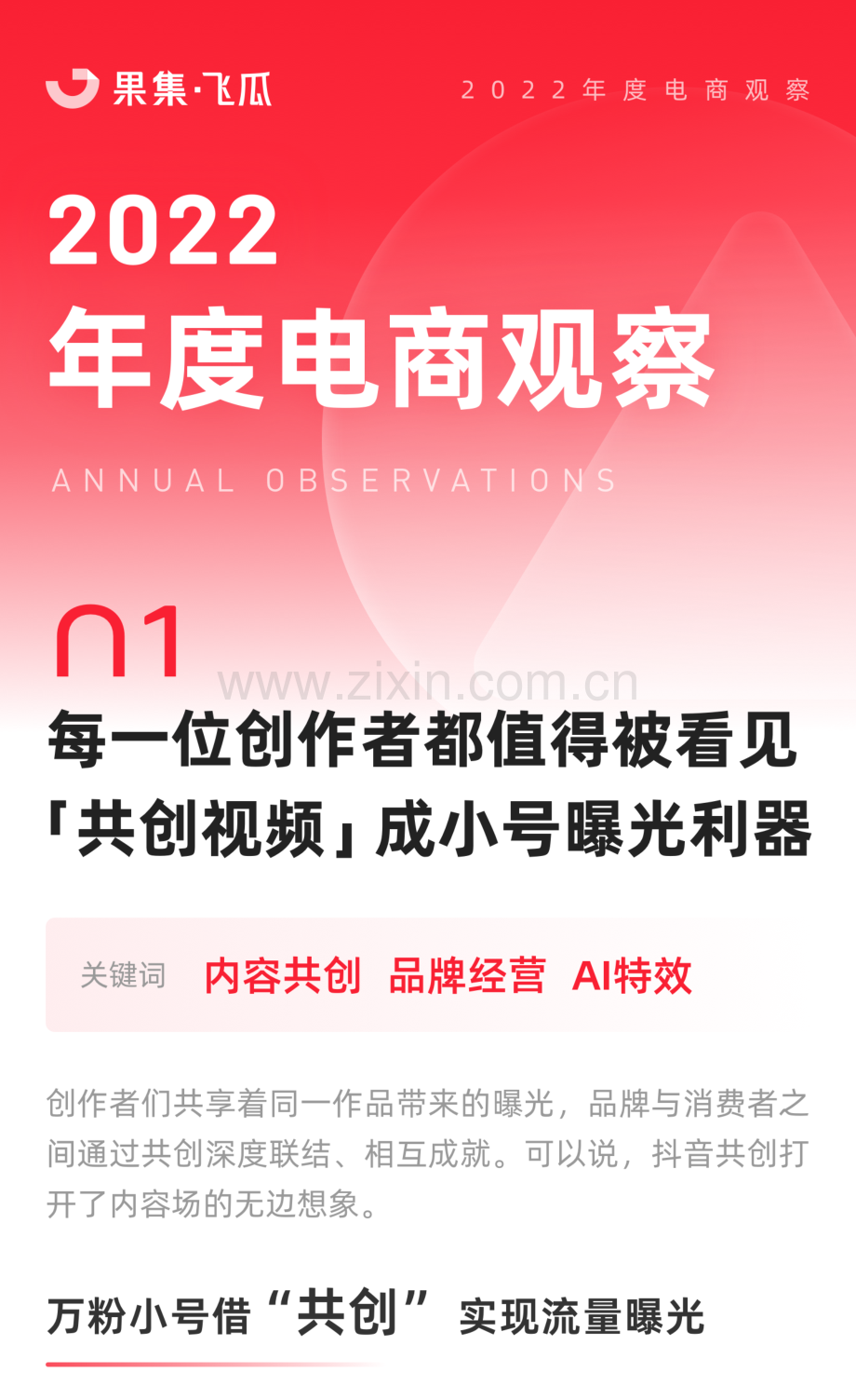 2022年度电商观察.pdf_第1页