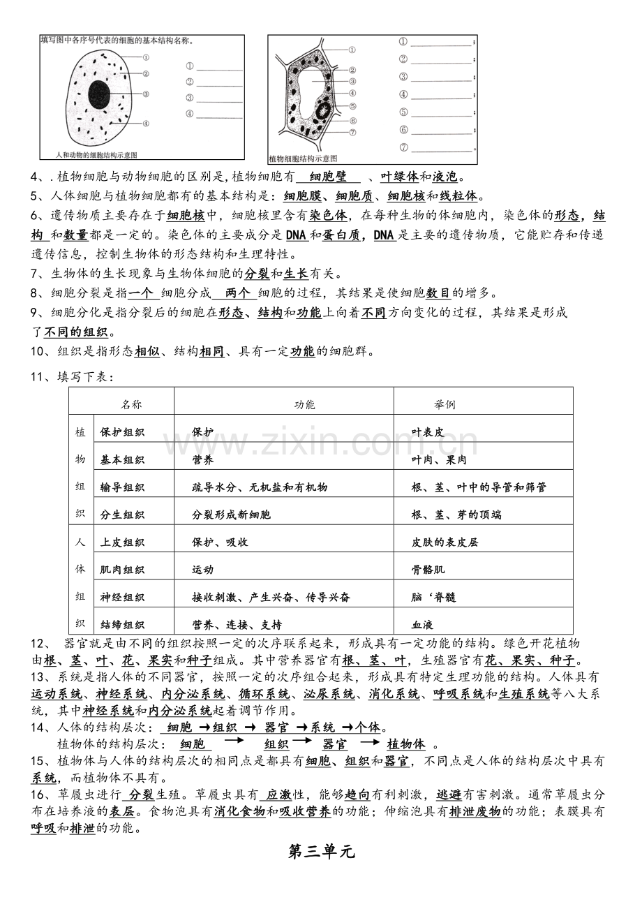 苏教版七年级生物上学期知识点总结.doc_第2页