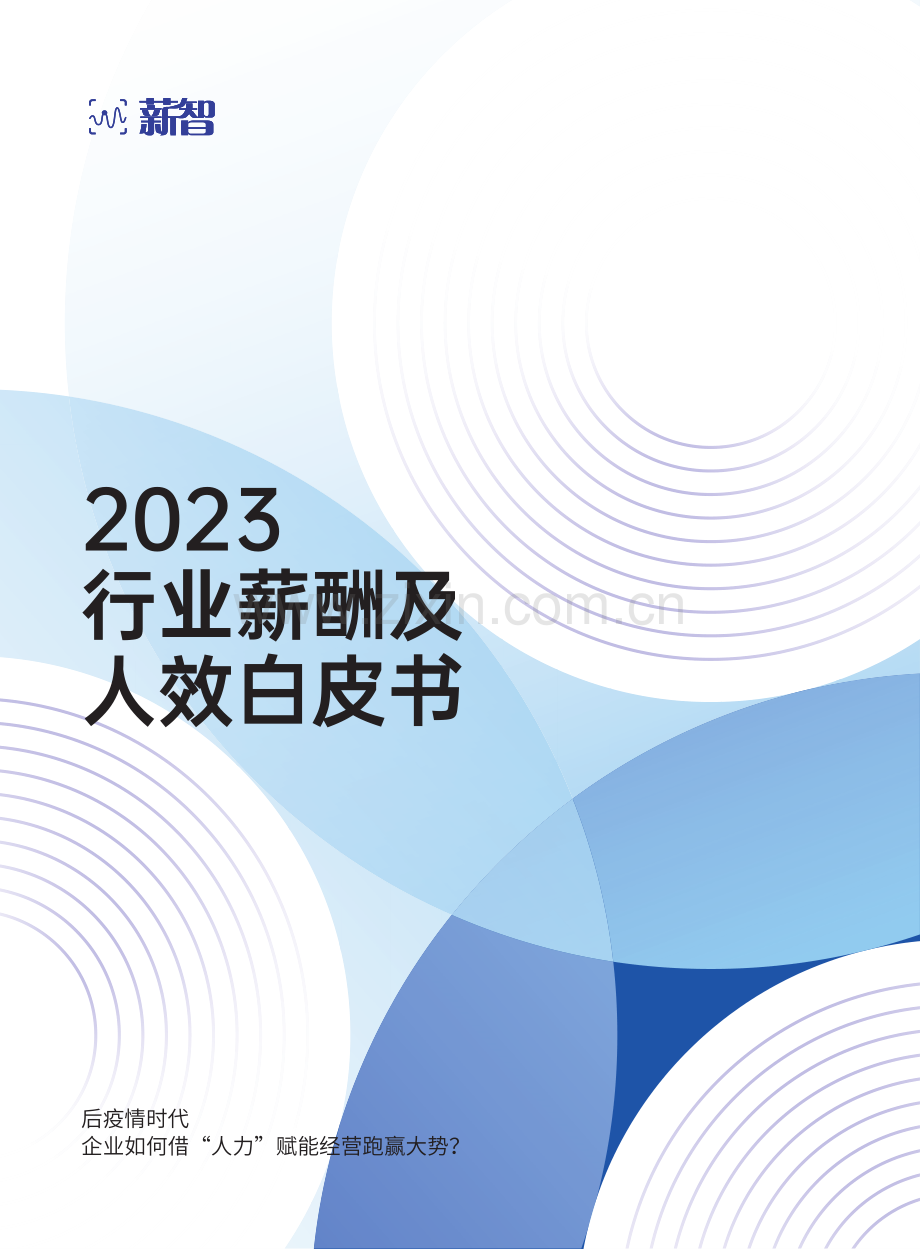 2023行业薪酬及人效白皮书.pdf_第1页