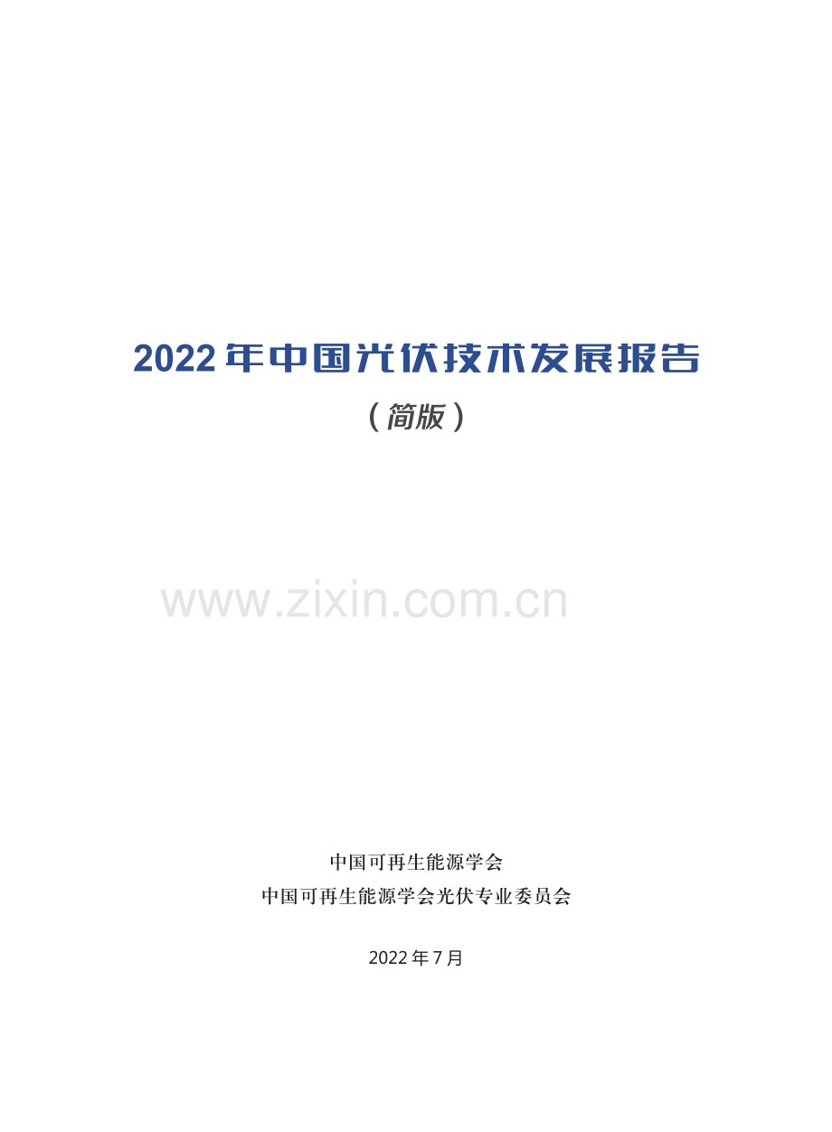 2022年中国光伏技术发展报告.pdf_第2页