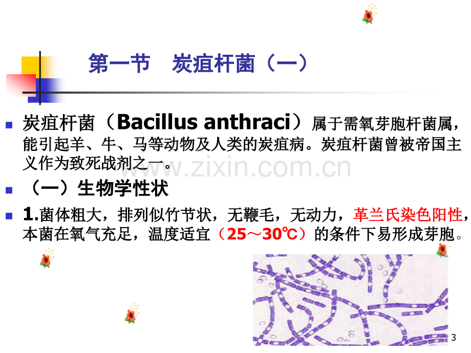 常见病原微生物的检测讲义.pptx_第3页