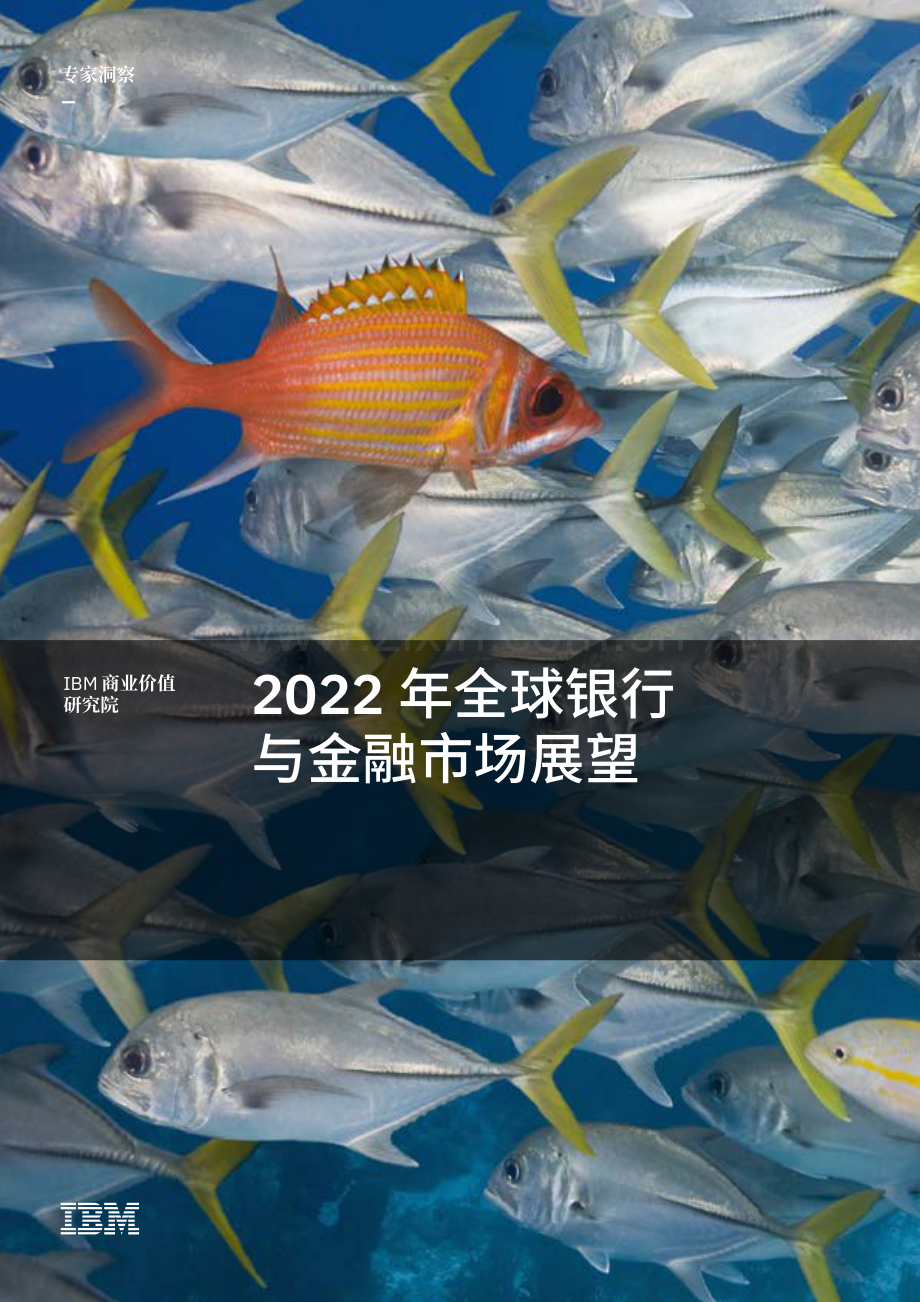 2022年全球银行与金融市场展望.pdf_第1页