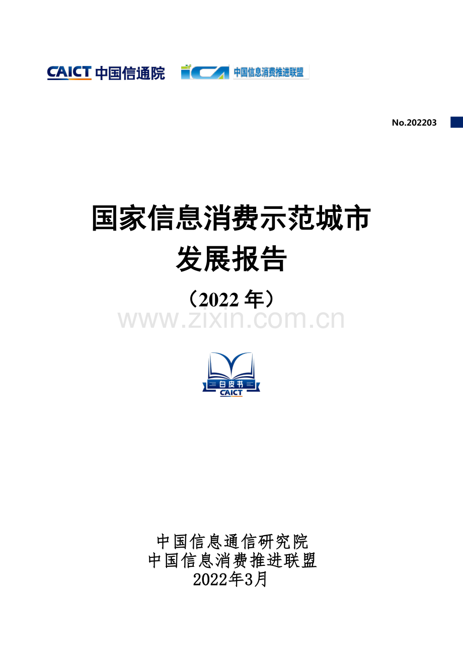 2022年国家信息消费示范城市发展报告.pdf_第1页