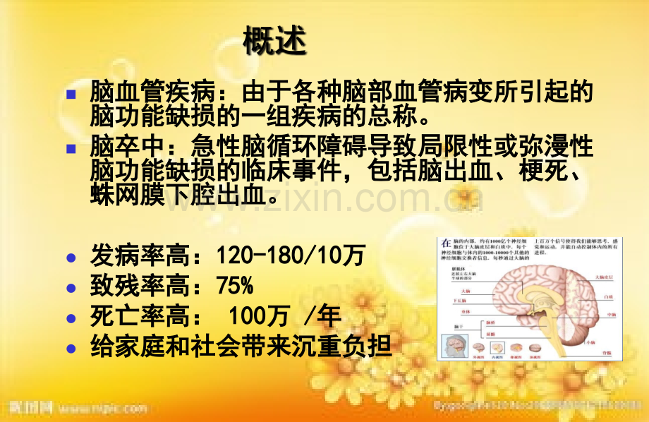 脑血管疾病概述.ppt_第3页