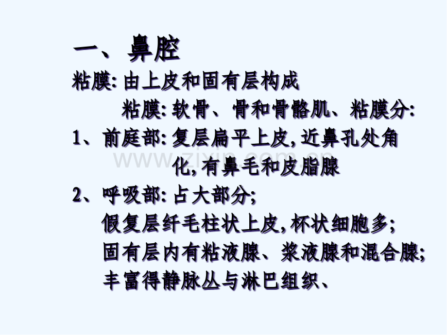 组织胚胎学呼吸系统.pptx_第3页