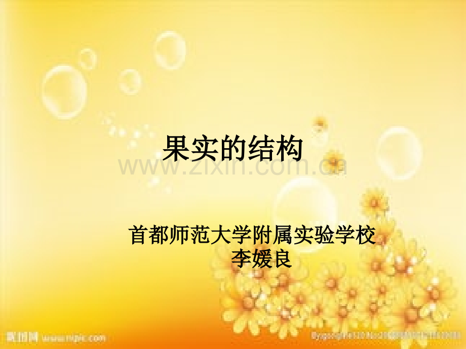 果实的结构.ppt_第1页