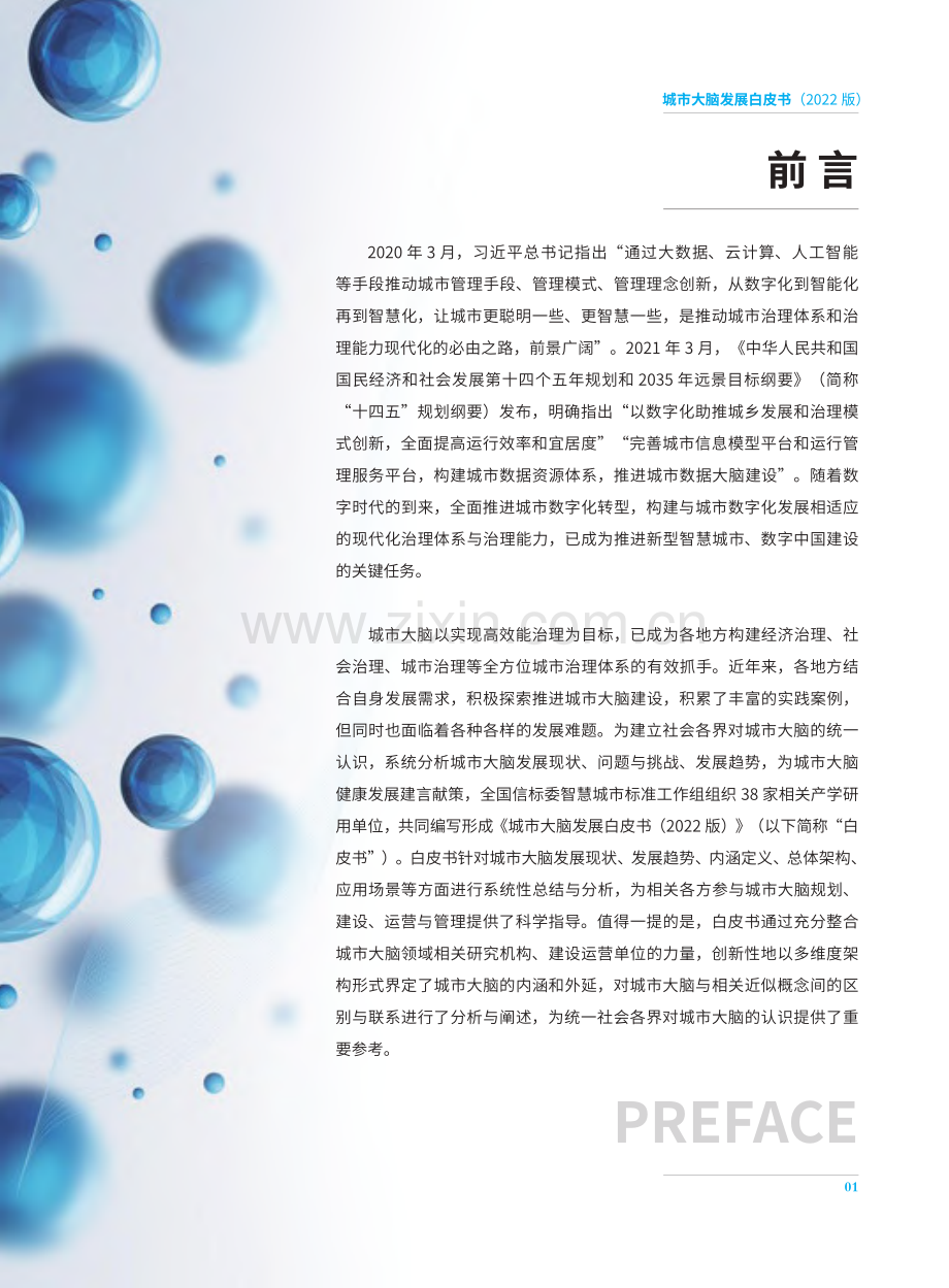 2022年人工智能行业：城市大脑发展白皮书.pdf_第3页