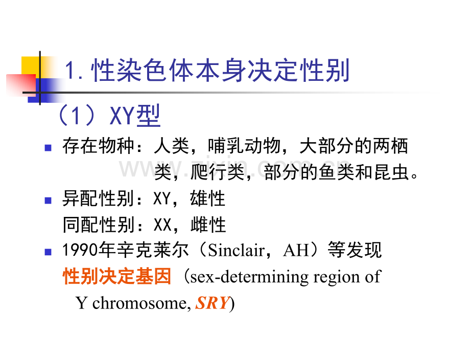 遗传学染色体与遗传.pptx_第3页