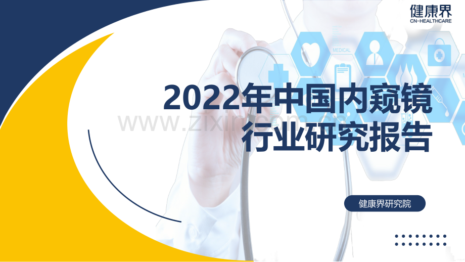 2022年中国内窥镜行业研究报告.pdf_第1页