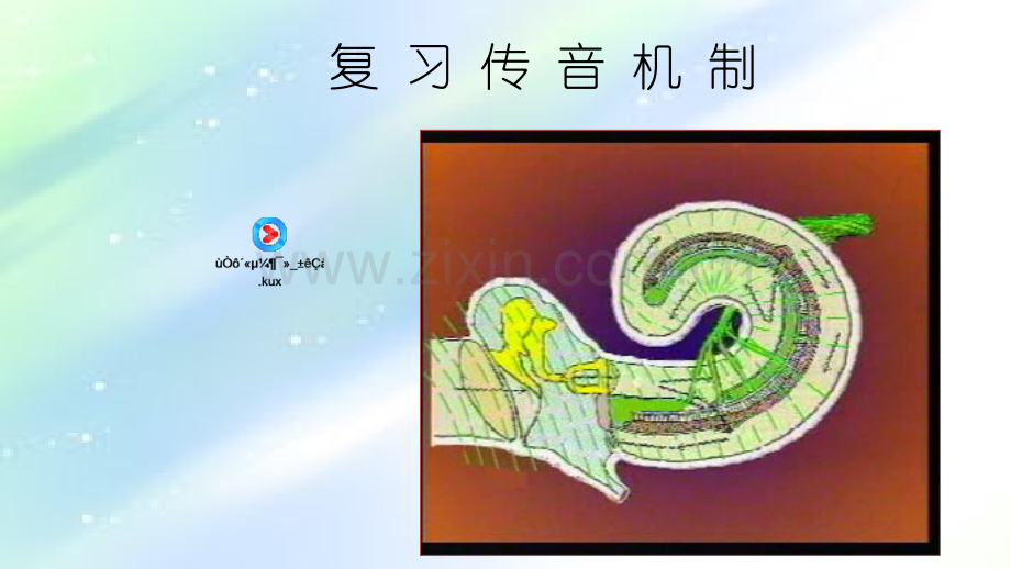 耳音叉试验.ppt_第2页