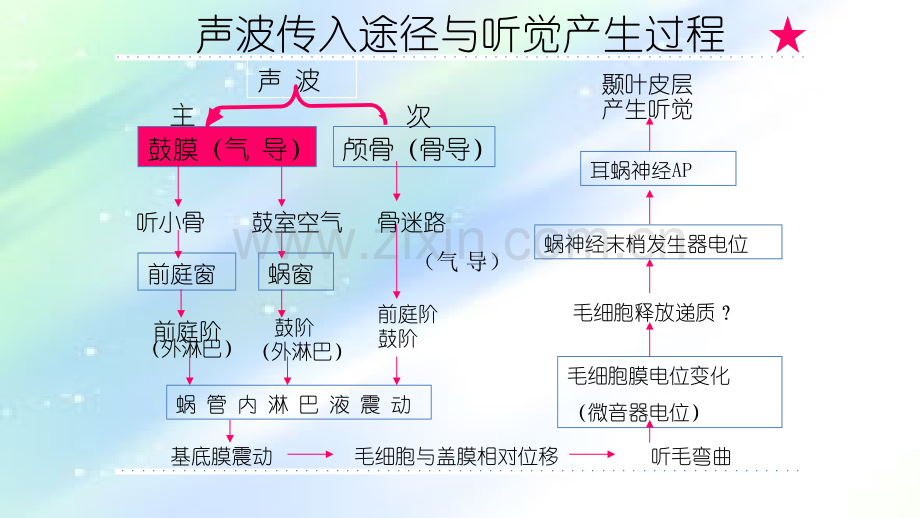 耳音叉试验.ppt_第3页