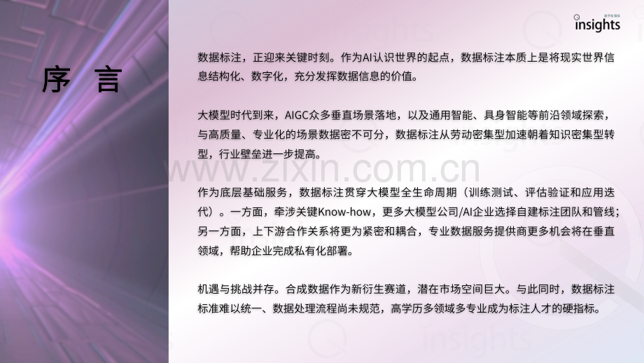 2023中国AIGC数据标注产业全景报告.pdf_第2页