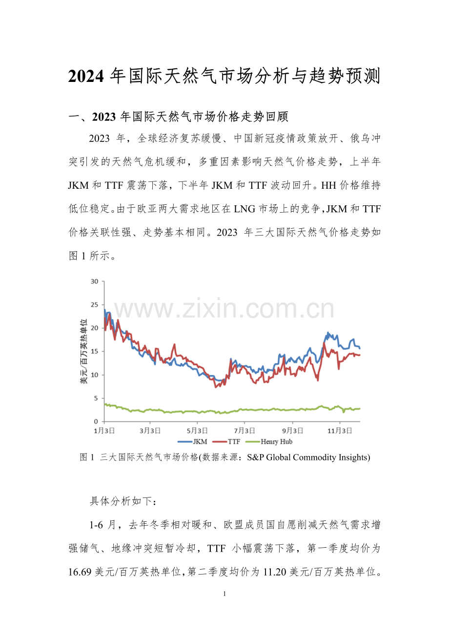 2024年国际天然气市场分析与趋势预测.pdf_第2页