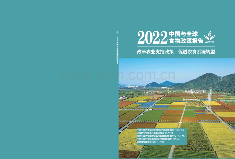 2022年中国与全球食物政策报告.pdf_第1页