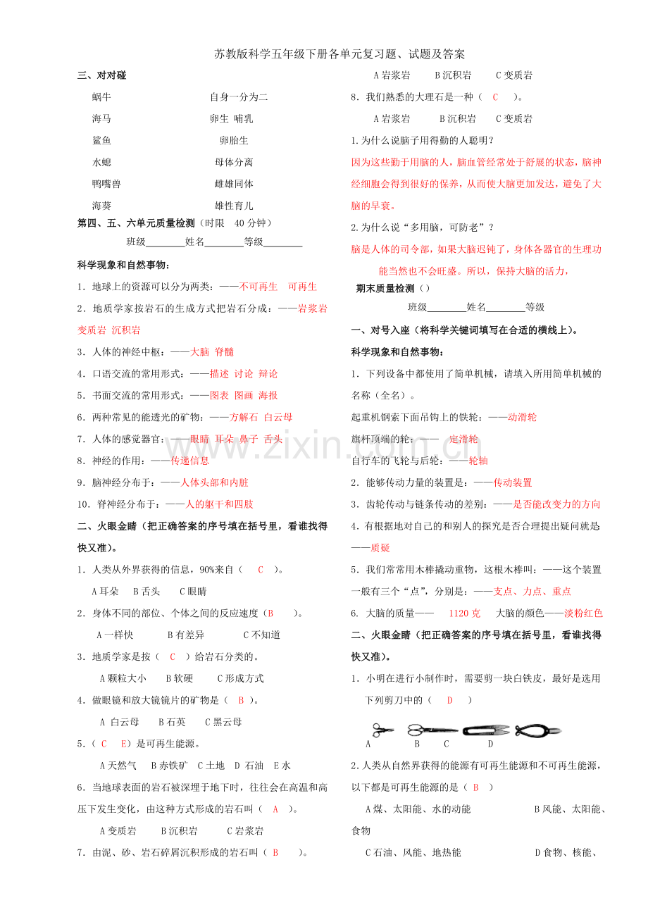 苏教版科学五年级下册各单元复习题、试题及答案.doc_第3页