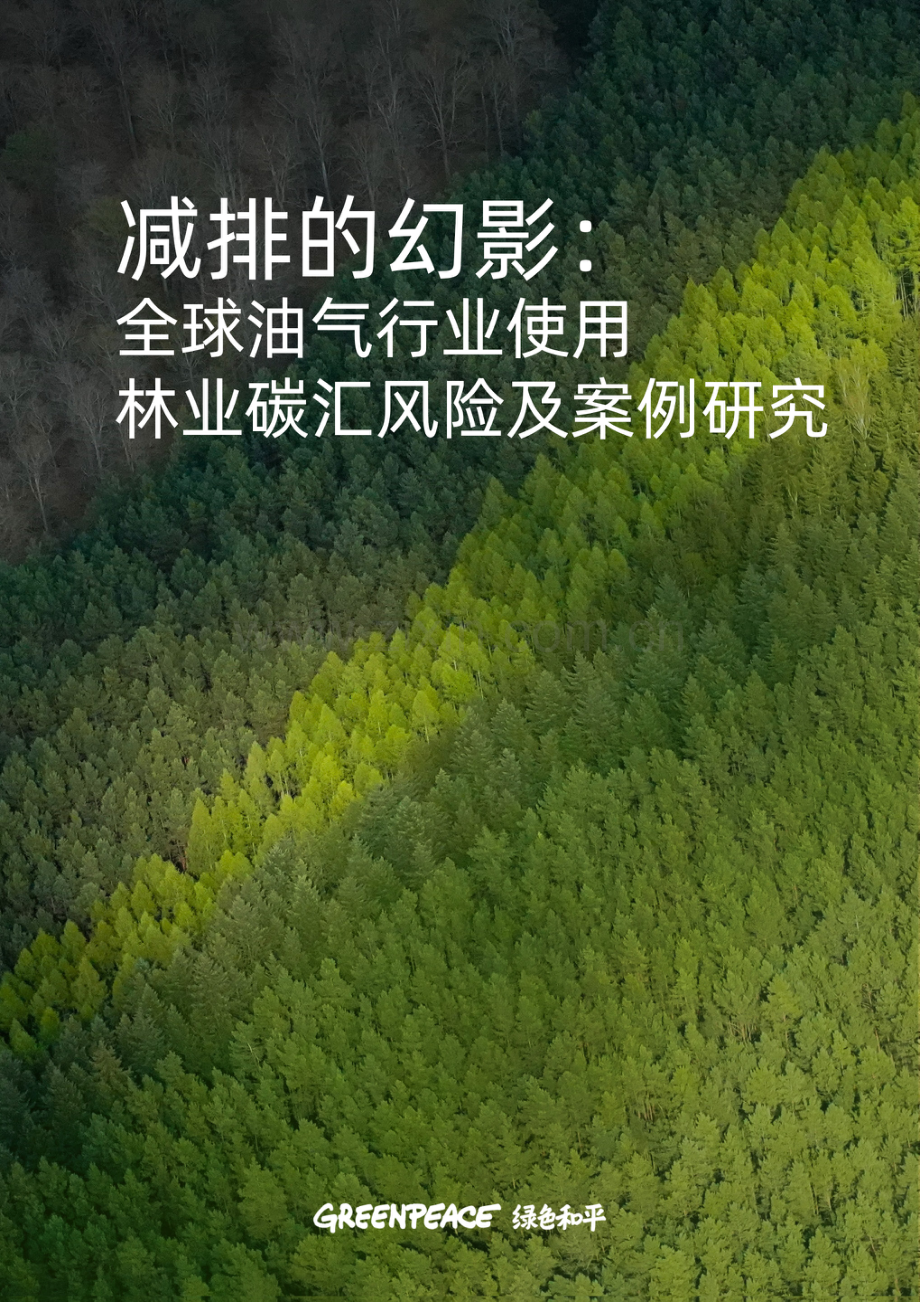 2023减排的幻影：全球油气行业使用林业碳汇风险及案例研究报告.pdf_第1页