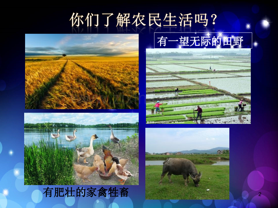 质朴的农民画.ppt_第2页