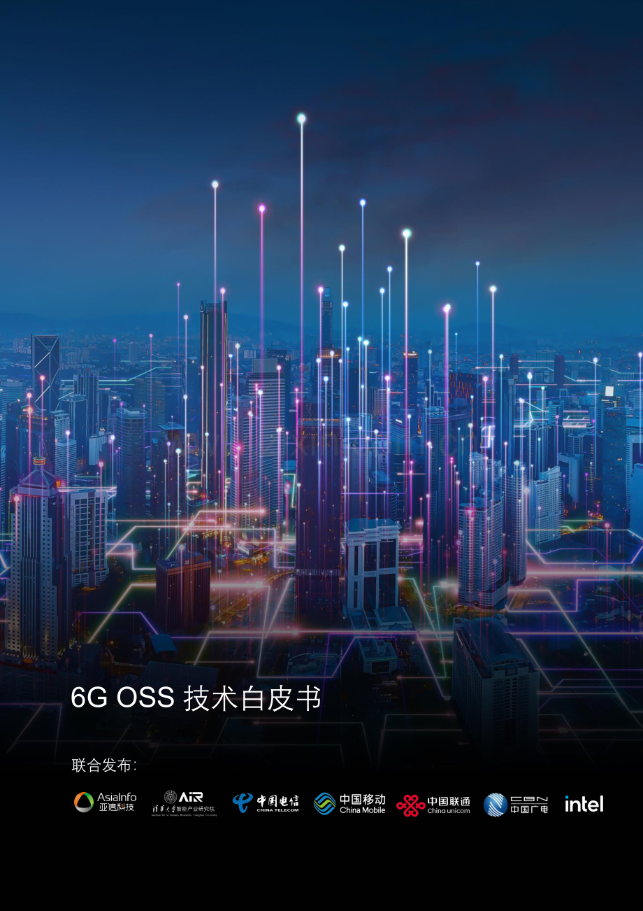 6G-OSS技术白皮书.pdf_第1页