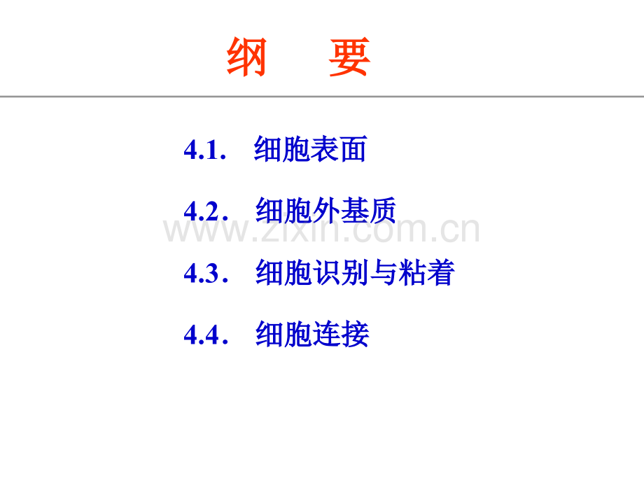 细胞生物学细胞环境与互作.pptx_第2页