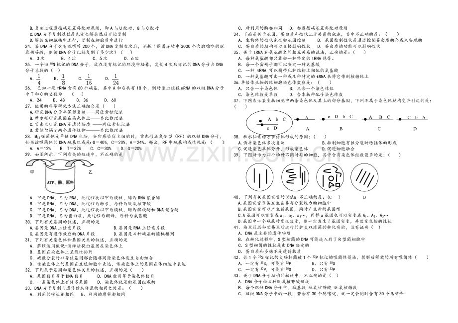 高二生物必修二期末测试题(附答案).doc_第2页