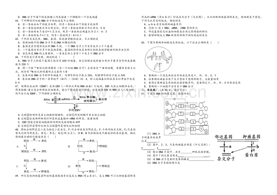 高二生物必修二期末测试题(附答案).doc_第3页