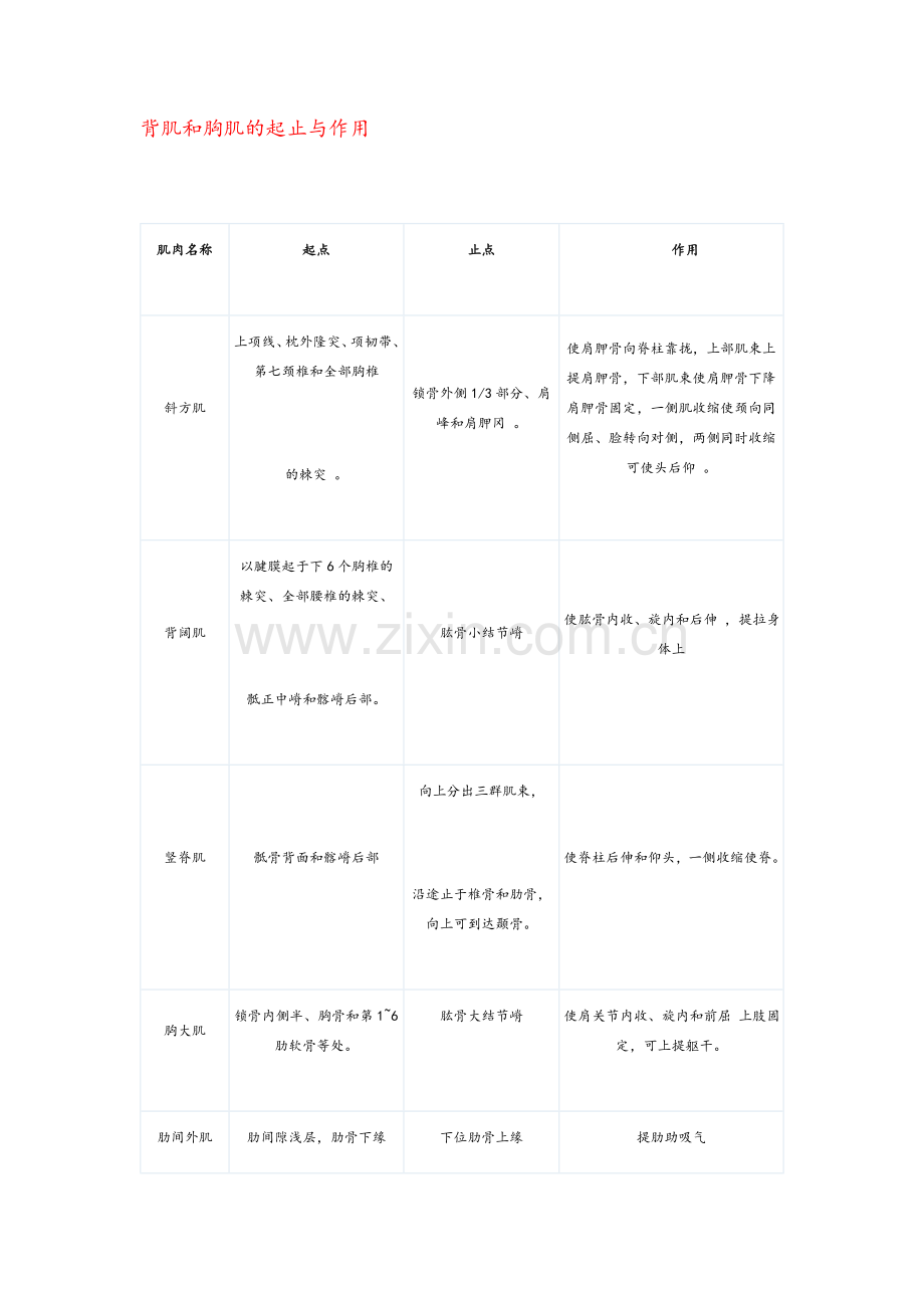 肌肉的起点与作用.doc_第1页