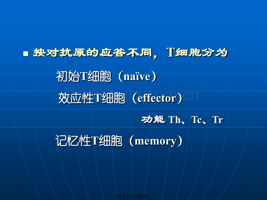 T淋巴细胞对抗原识别及应答.pptx_第3页