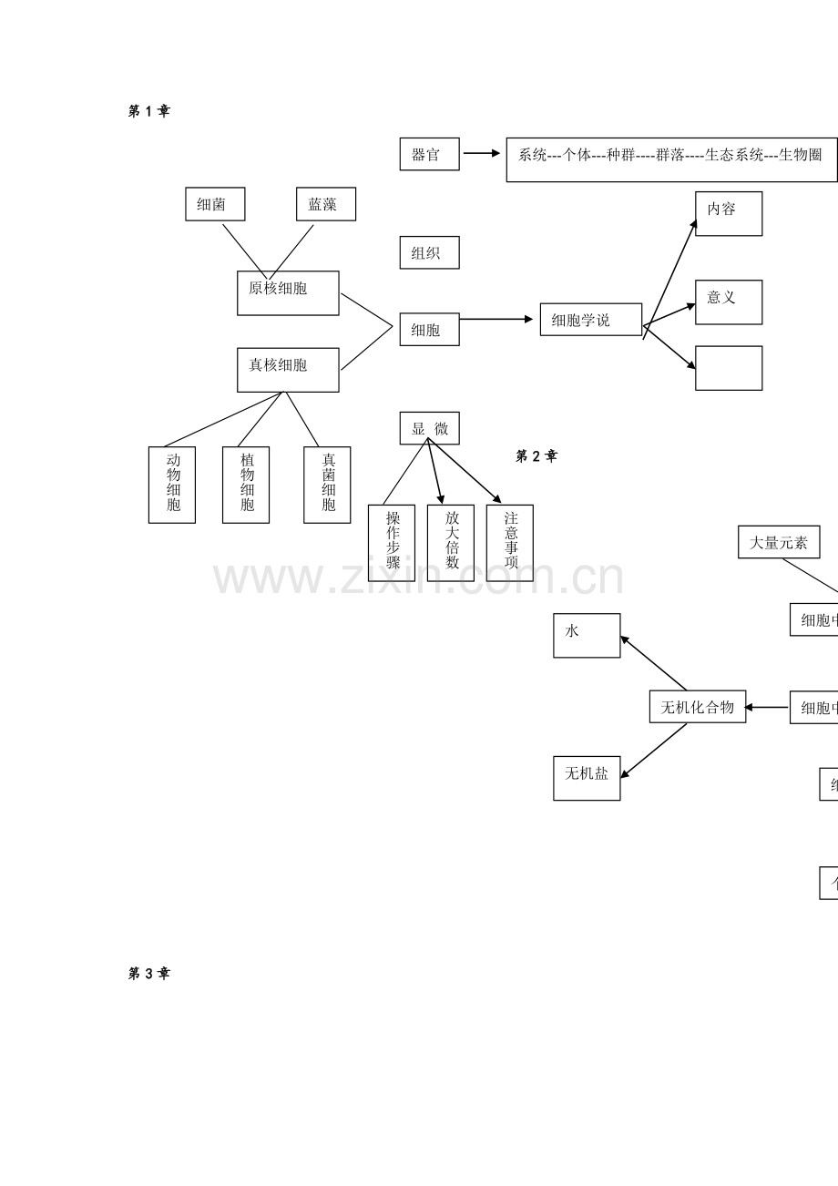 高一生物思维导图.doc_第1页