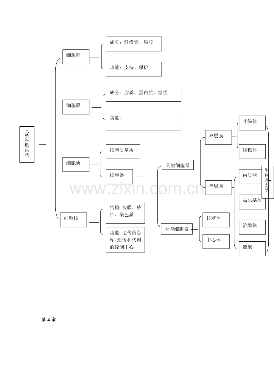 高一生物思维导图.doc_第2页