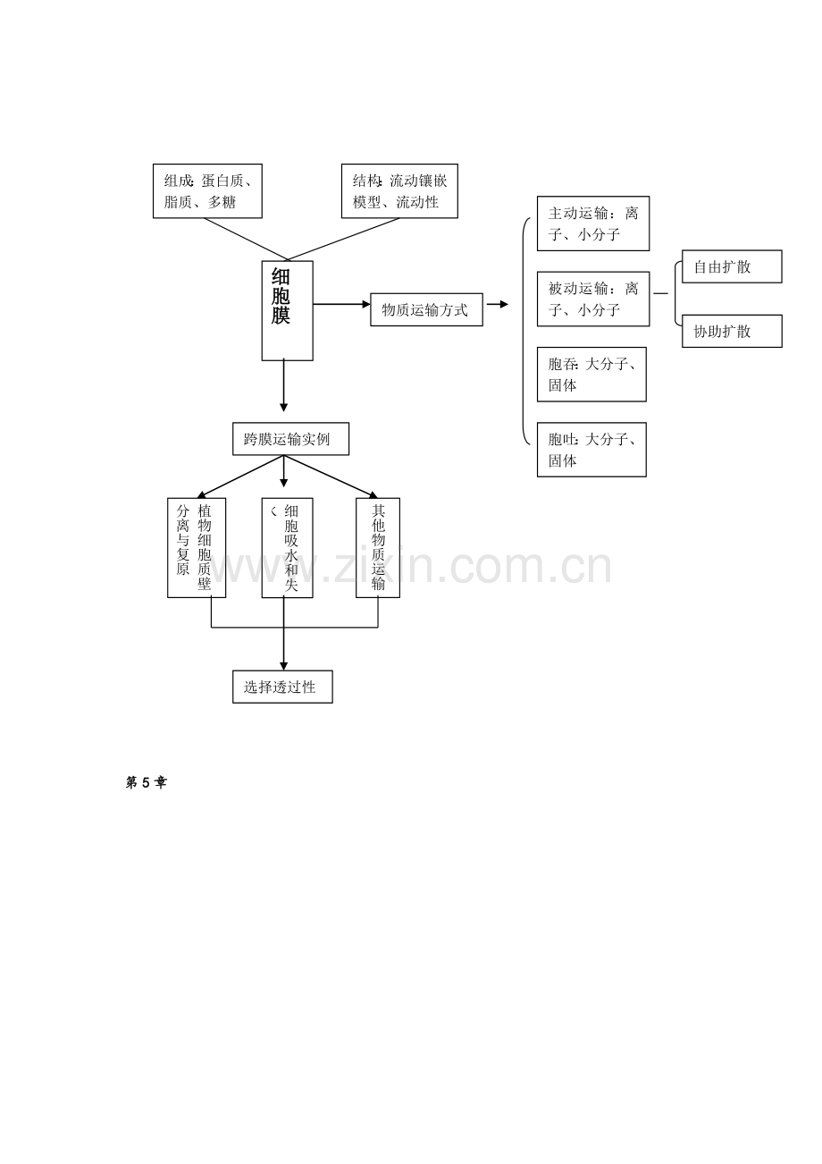 高一生物思维导图.doc_第3页