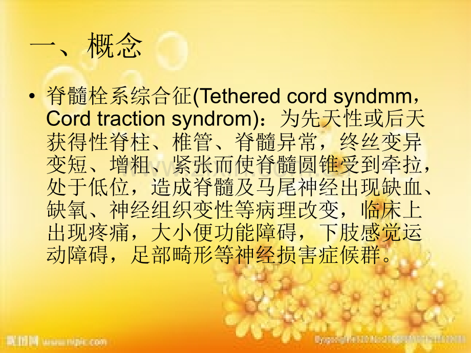 脊髓栓系综合征.ppt_第2页