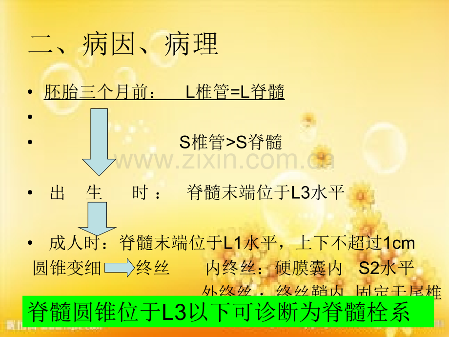 脊髓栓系综合征.ppt_第3页