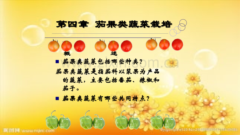 第四章--番茄.ppt_第1页