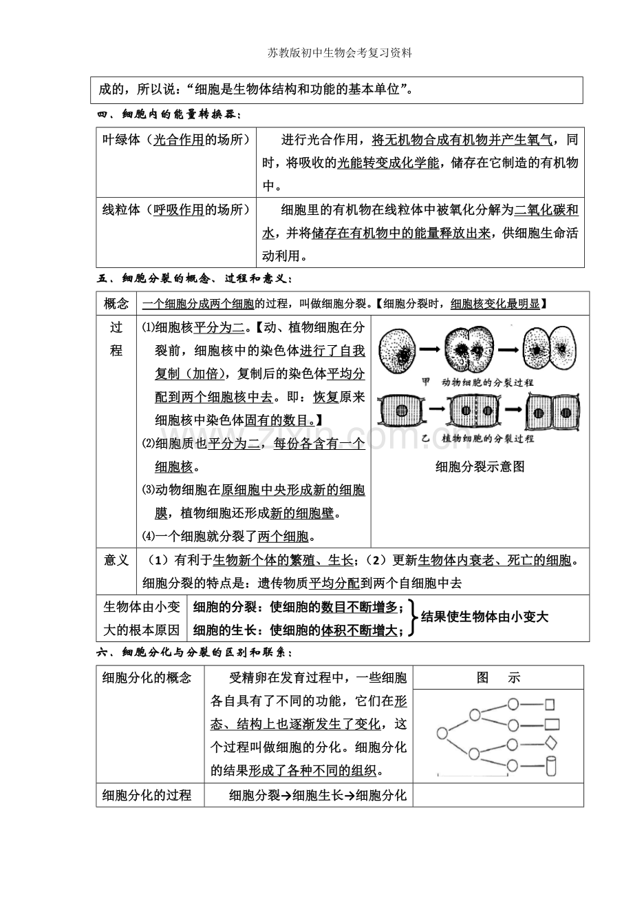 苏教版初中生物会考复习资料.doc_第3页