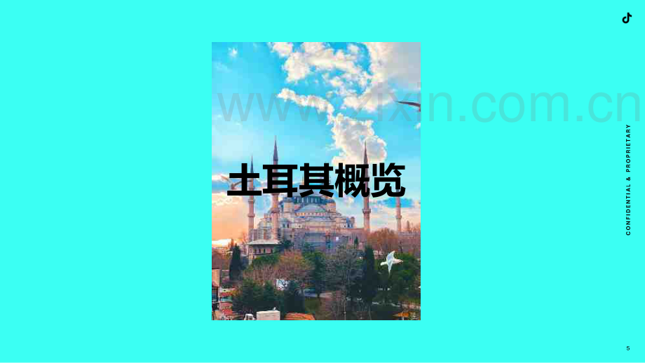 2023全球市场百宝书-土耳其篇.pdf_第3页