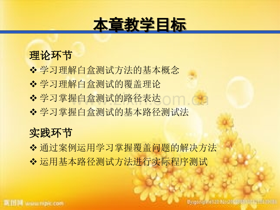 白盒测试技术.ppt_第3页