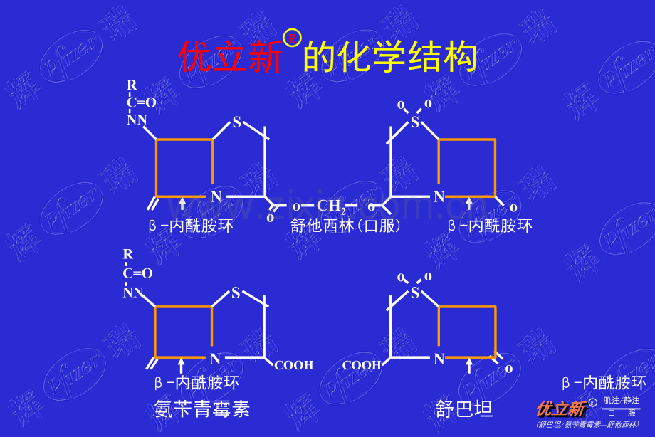 优立新一线首选抗感染的合理用药.pptx_第2页