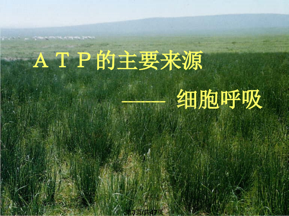 ATP主要来源细胞呼吸1.pptx_第3页