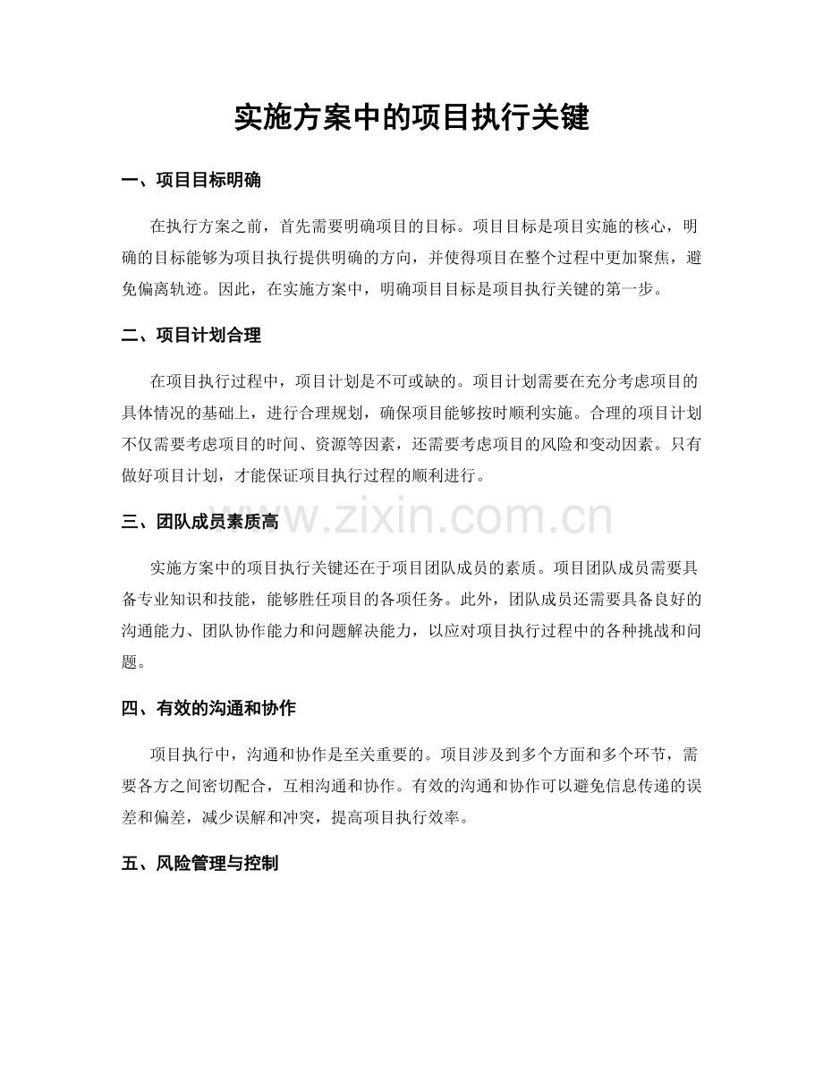 实施方案中的项目执行关键.docx_第1页