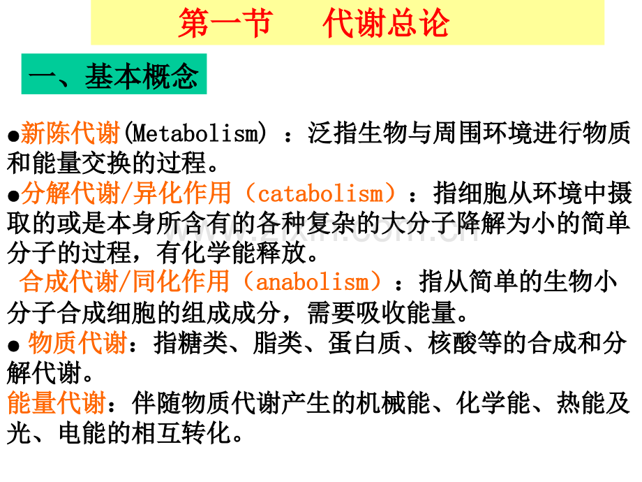 代谢与生物氧化.pptx_第2页