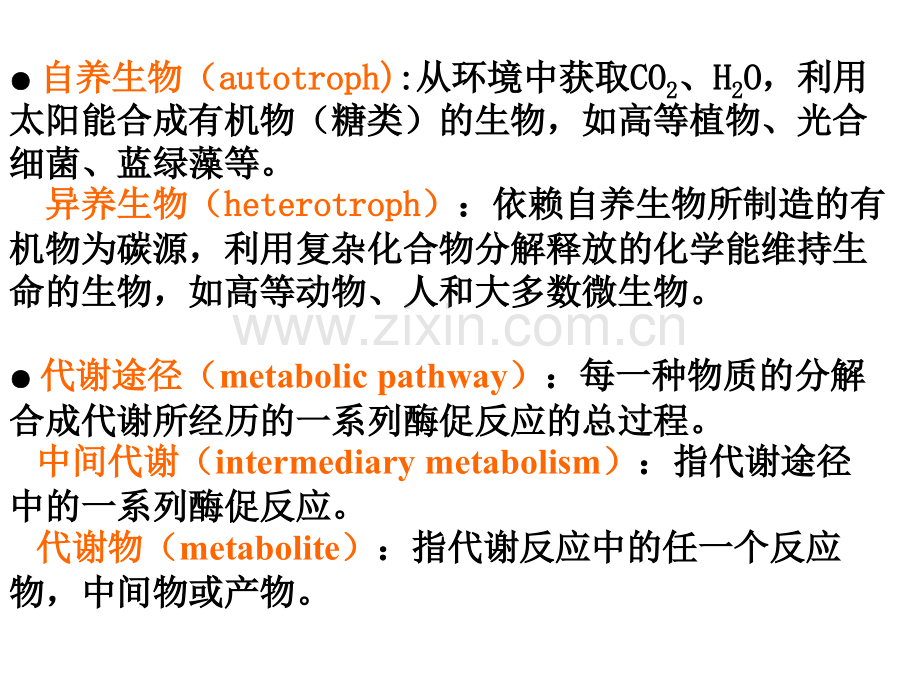 代谢与生物氧化.pptx_第3页