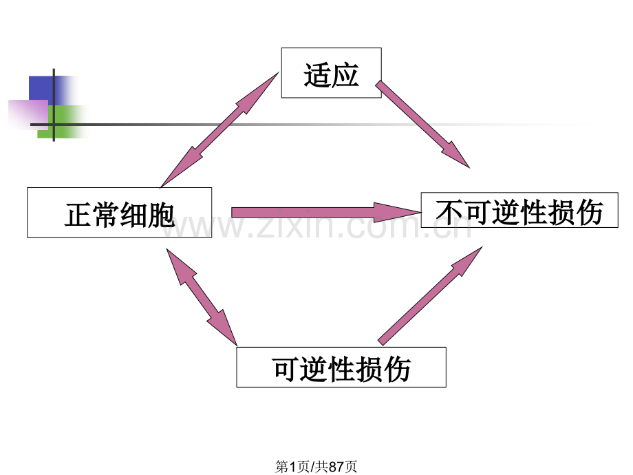 细胞和组织适应与损伤.pptx_第1页