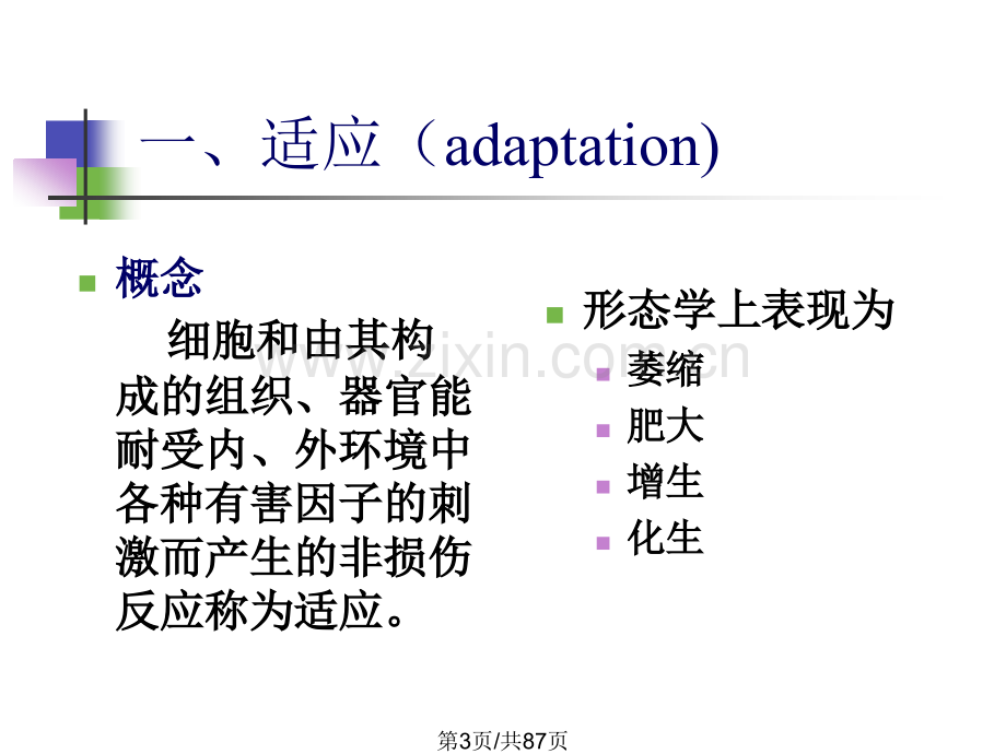 细胞和组织适应与损伤.pptx_第3页