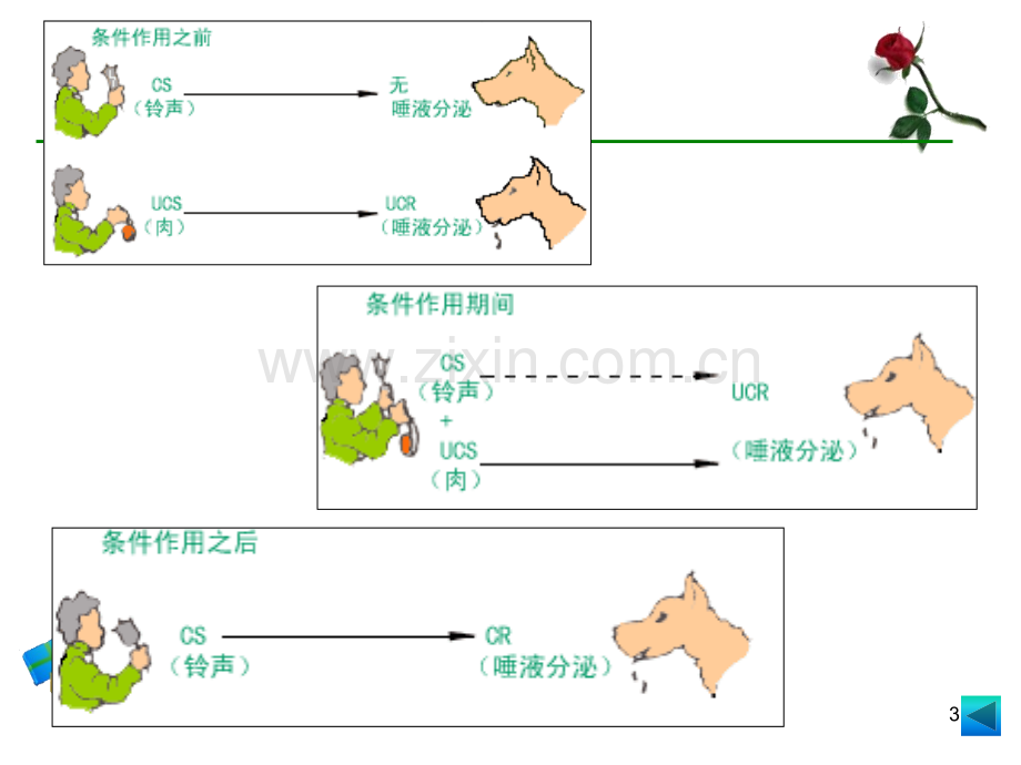 行为学习理论.pptx_第3页