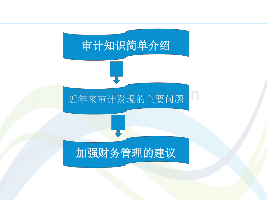 审计视角谈谈行政事业单位如何加强财务管理.pptx_第1页