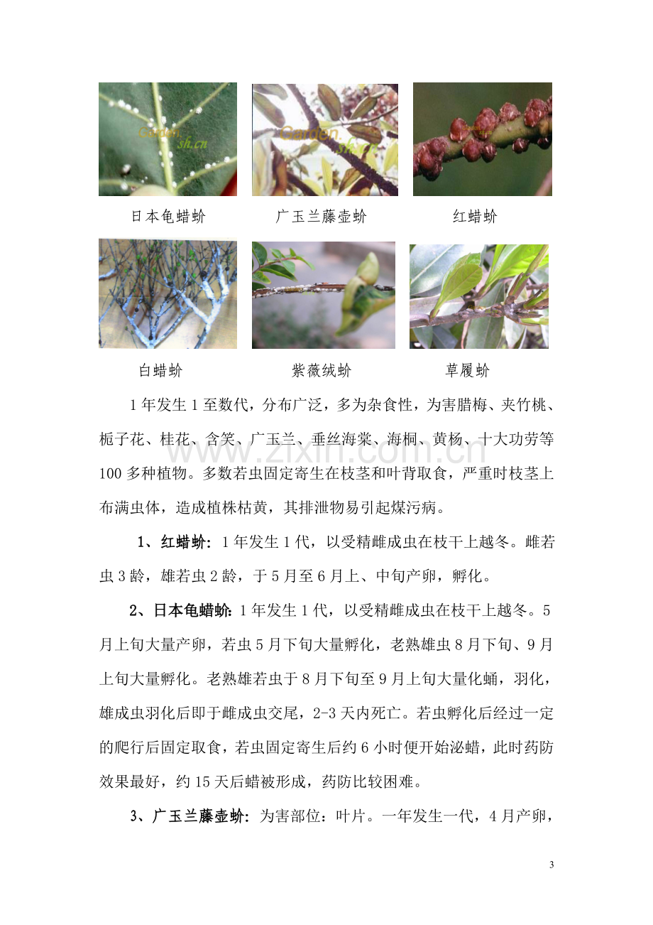 病虫害防治措施.doc_第3页