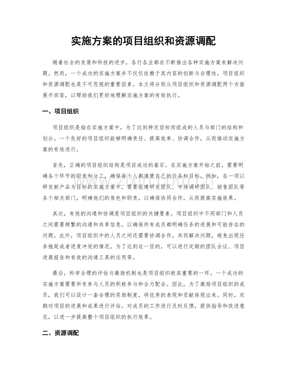 实施方案的项目组织和资源调配.docx_第1页